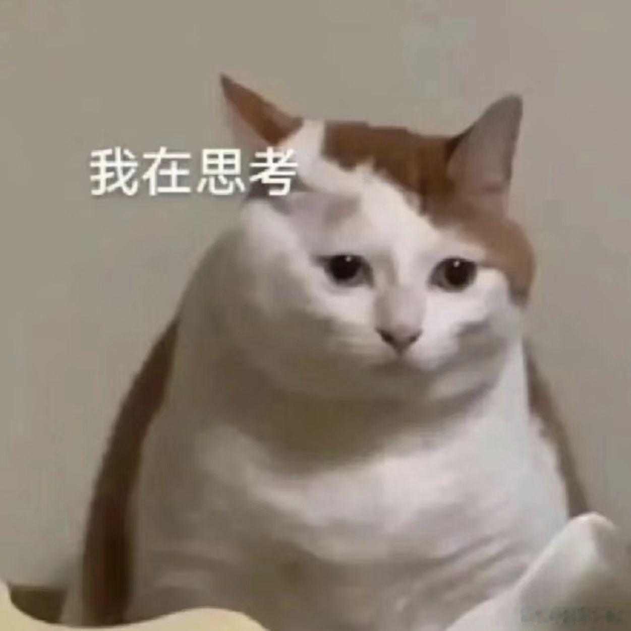 人民日报评豆包付费 这个应该是开始，毕竟AI的发展确实需要资金的支持，不过得看豆