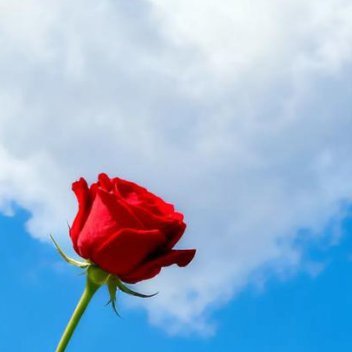 正能量生活有时候像一桌家常菜，不一定精致，却有烟火的味道。如果总觉得这顿不重要，