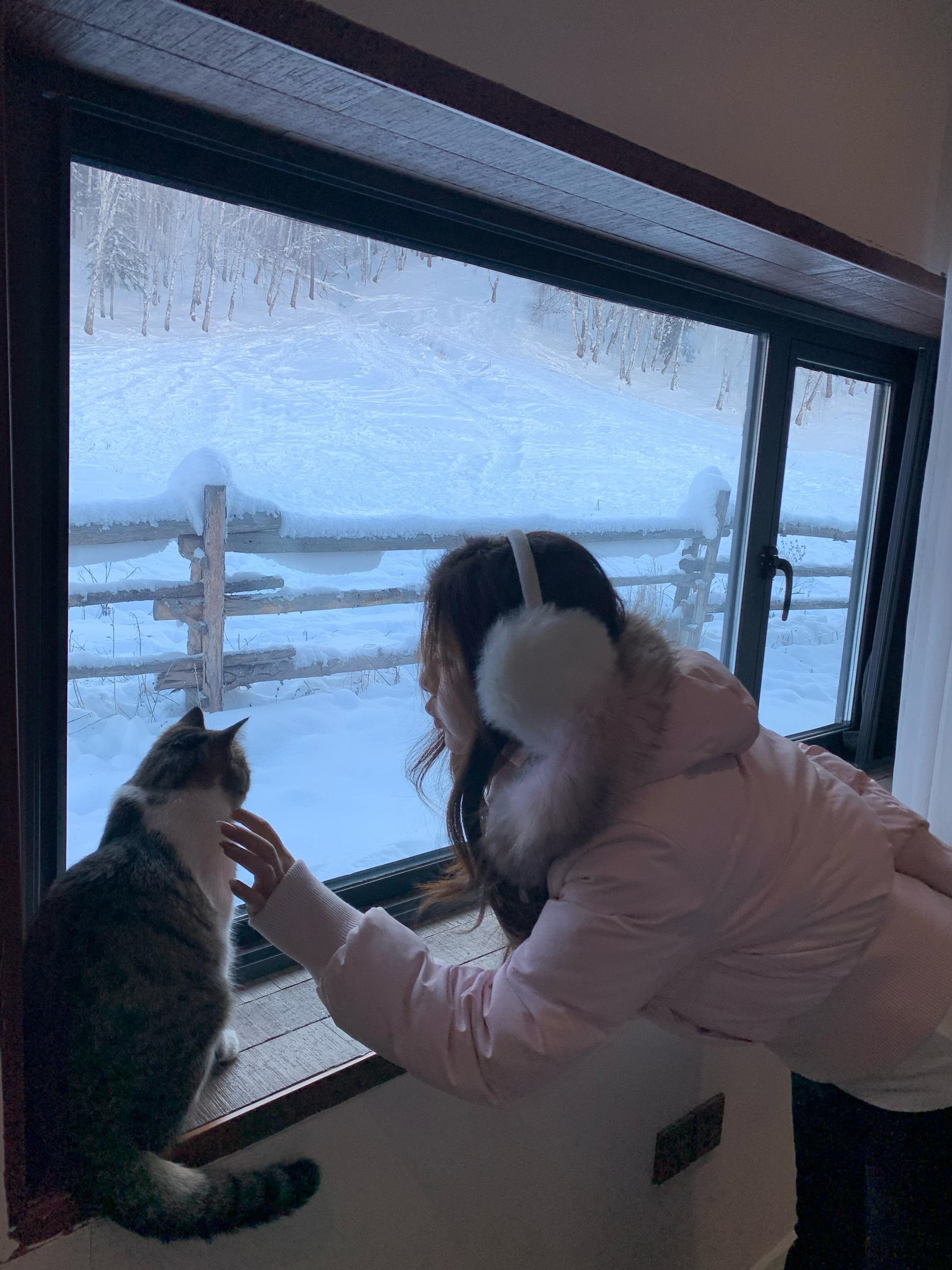 你就是我的风景🐈。