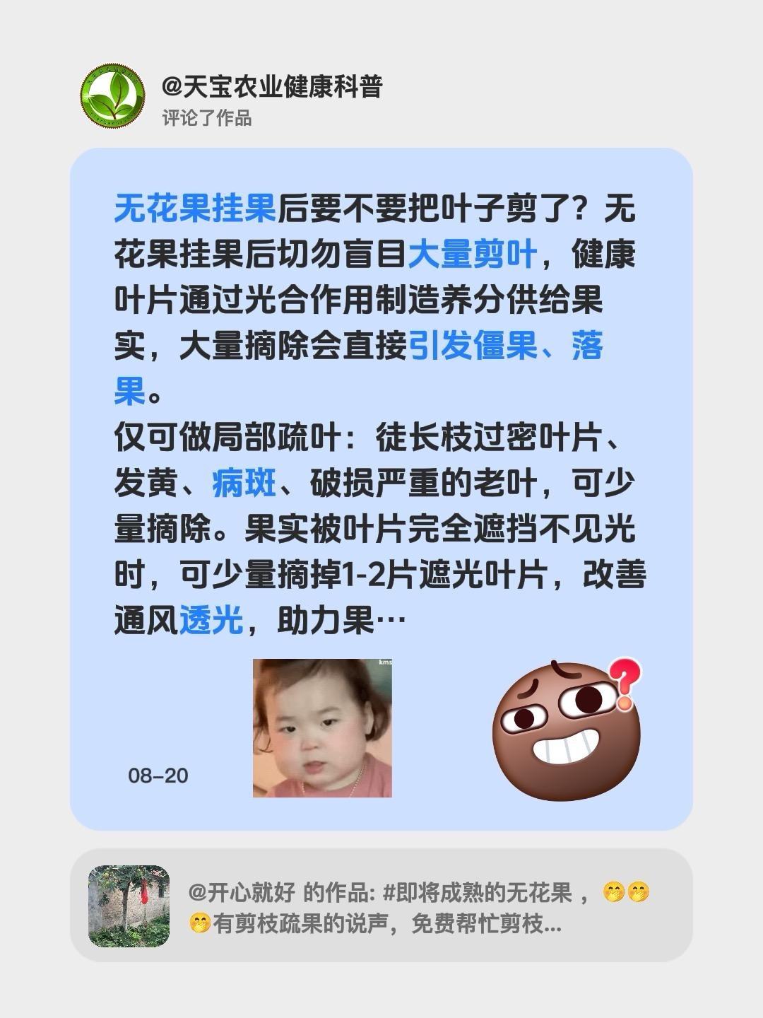 无花果挂果后要不要把叶子剪了？我评论了@开心就好 的作品：
无花果挂果后要不要把