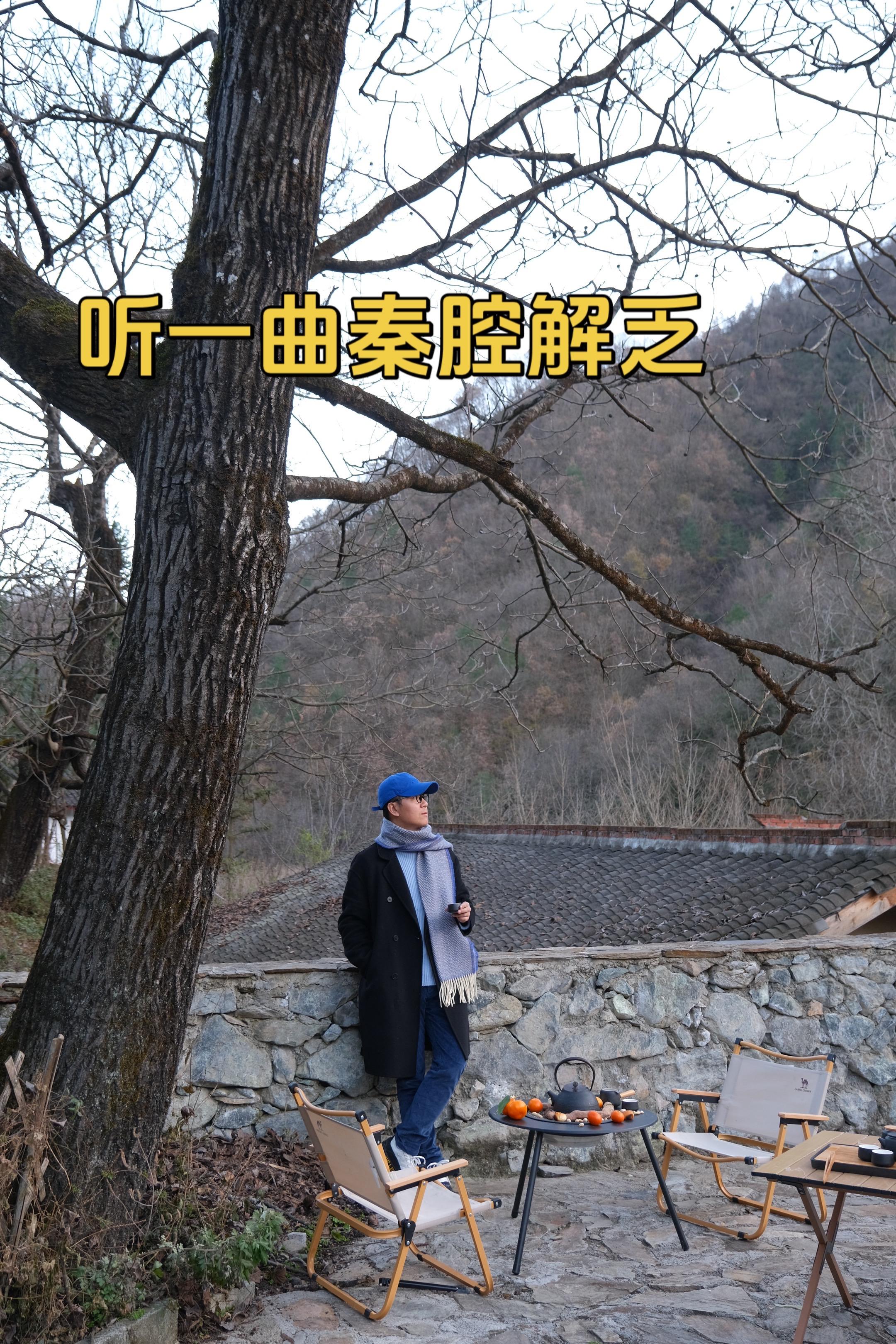 年纪大了，血脉觉醒，听曲秦腔就很解乏舒坦。