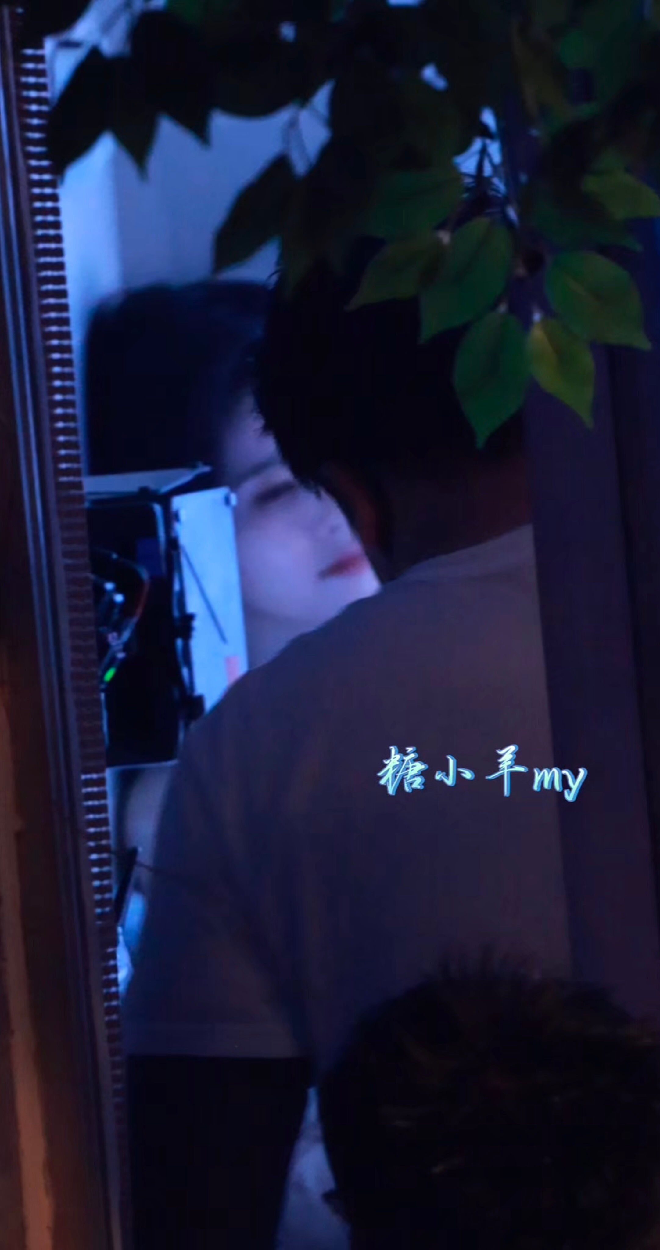 谭松韵白鹿粉丝什么人都能按头“白鹿粉丝” 白鹿很好 多多期待《开到荼蘼》看我家美