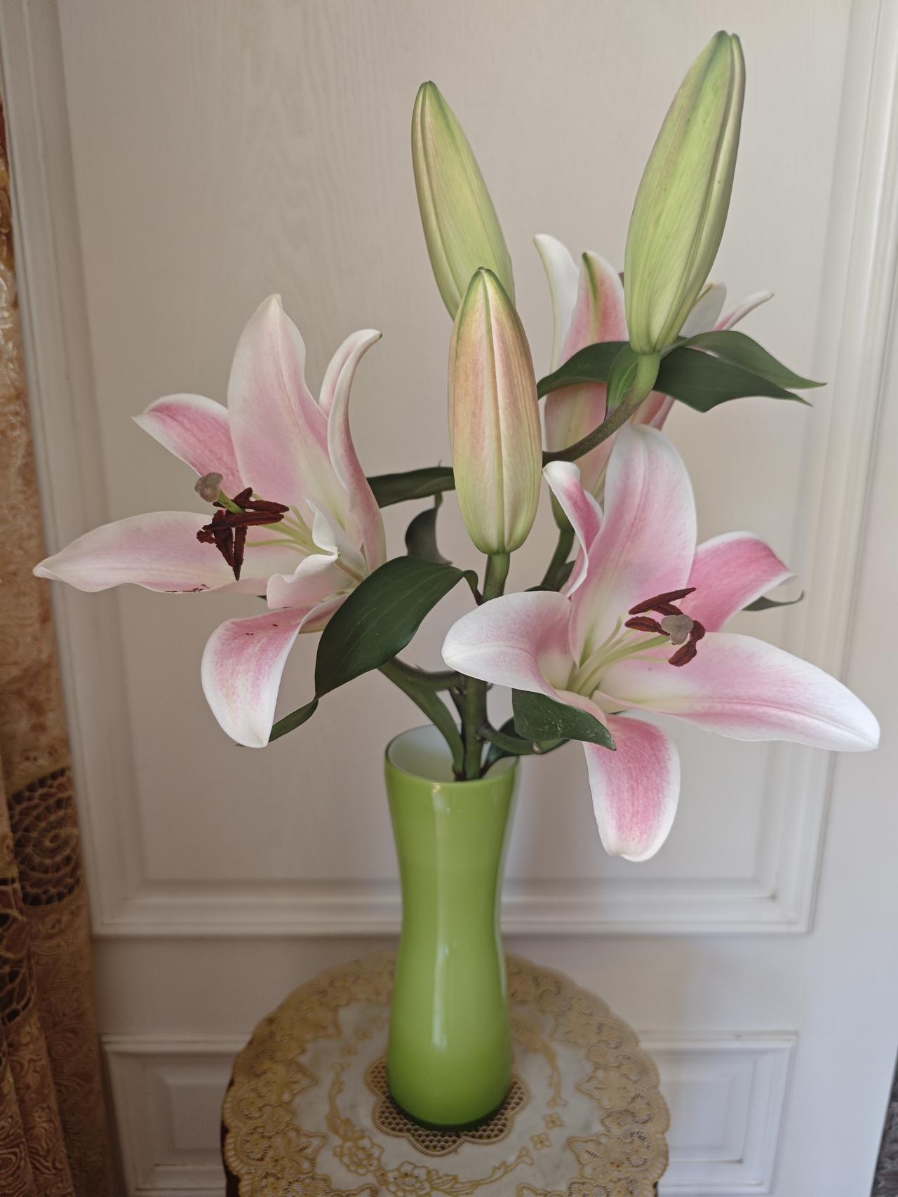 云南回来的百合花

妻子的好友妹子从云南旅游回来，送来了一束粉色玫瑰，还有一支未