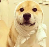 小柏热看汽车