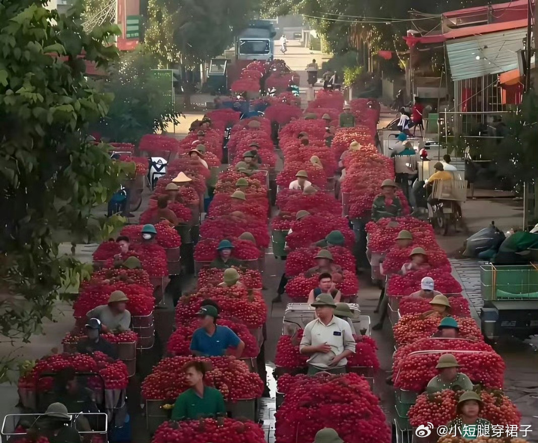 像不像一排排红房子 