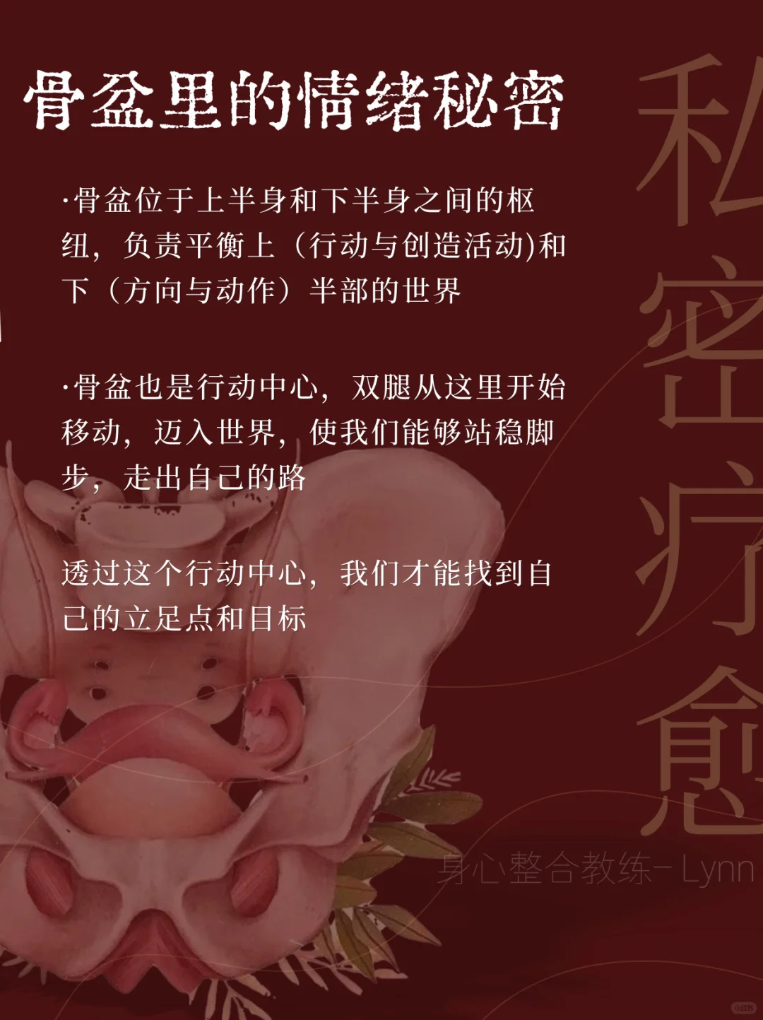 骨盆里的情绪秘密