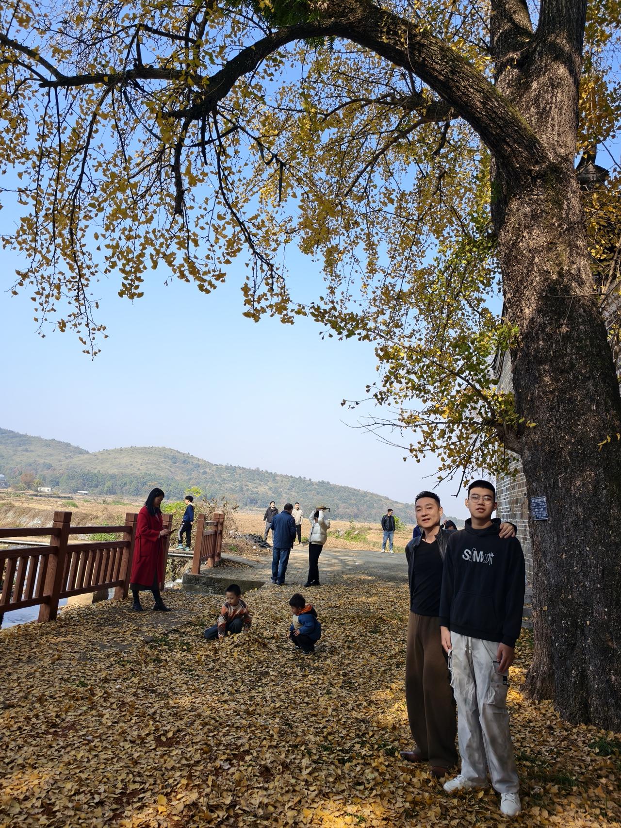 儿子大了，我也老了。

杏黄日朗，遍地落金。

在这样美好的日子，还有什么比一家