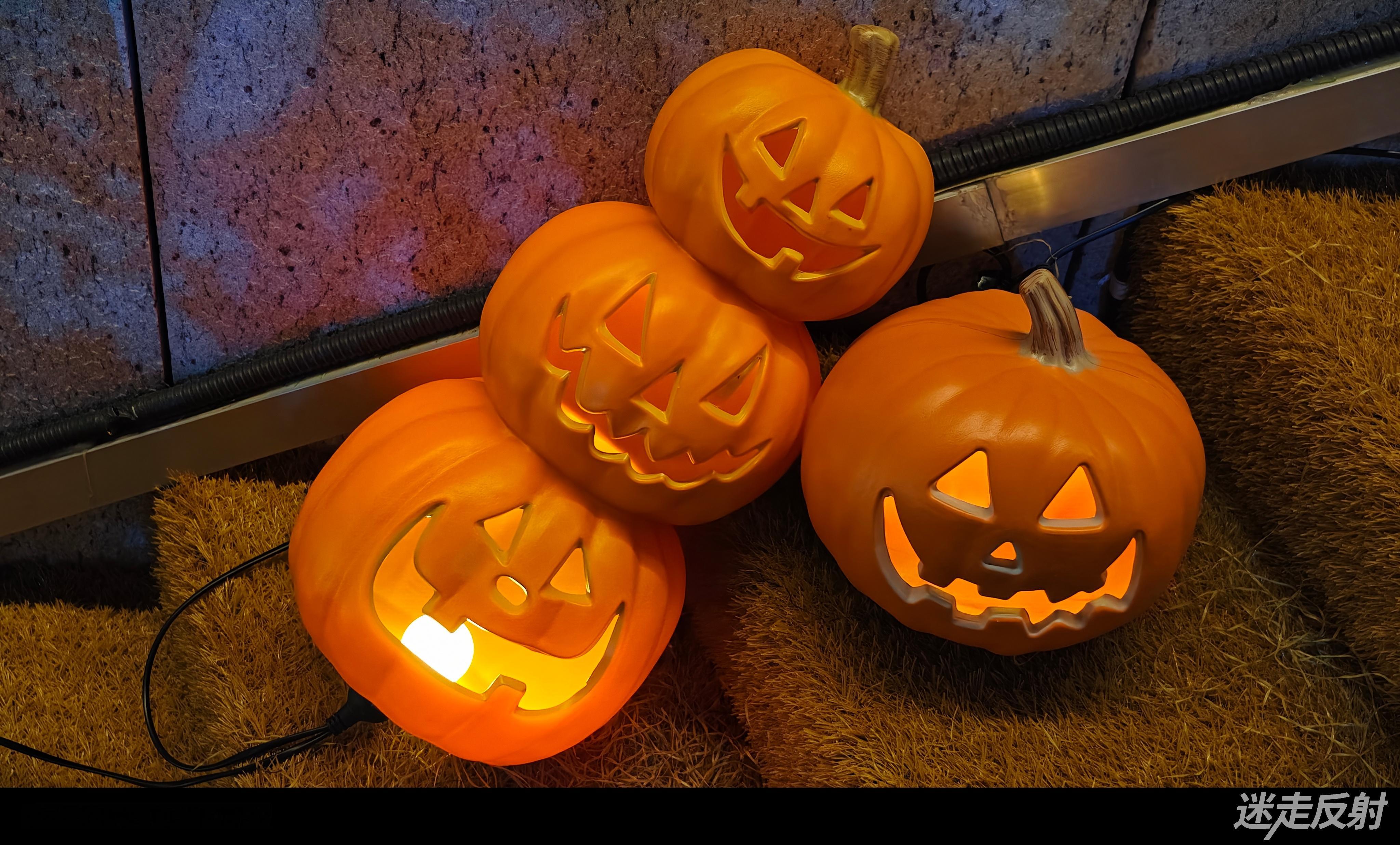 35mm确实适合随手拍[喵喵] ​​​