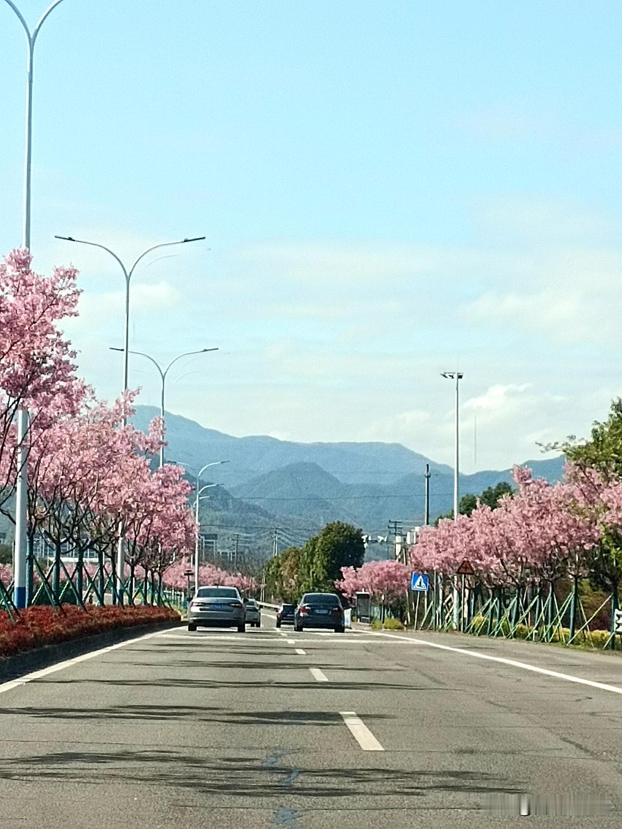 很久没有出去自驾游了，今早起床，看见天气很好，我和老队友突发奇想，这几天正值桃花