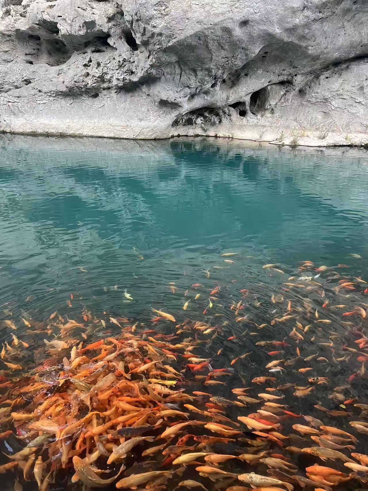 我是一位福建的道士，说出去可能没人信——我不抓鬼，也不画符，最多帮人看看老宅的风