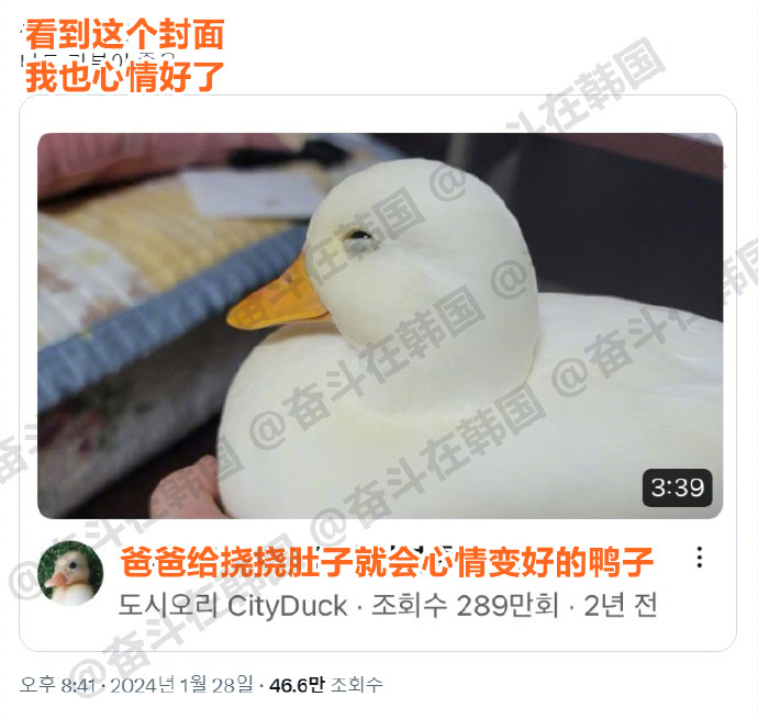 让人看了也会心情变好的视频封面~  海外新鲜事 热点现场