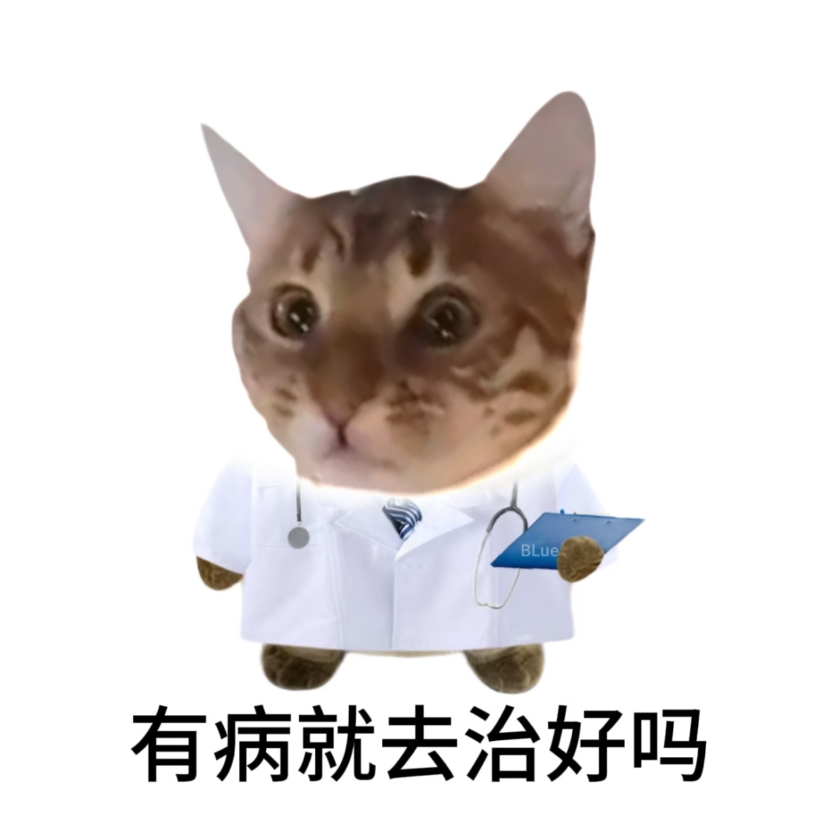分享图片 ​​​