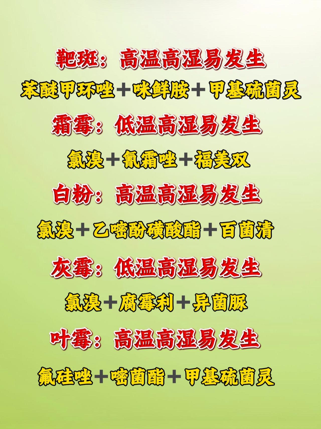 种植手册农业种植 种植技术 大棚种植 蔬菜种植