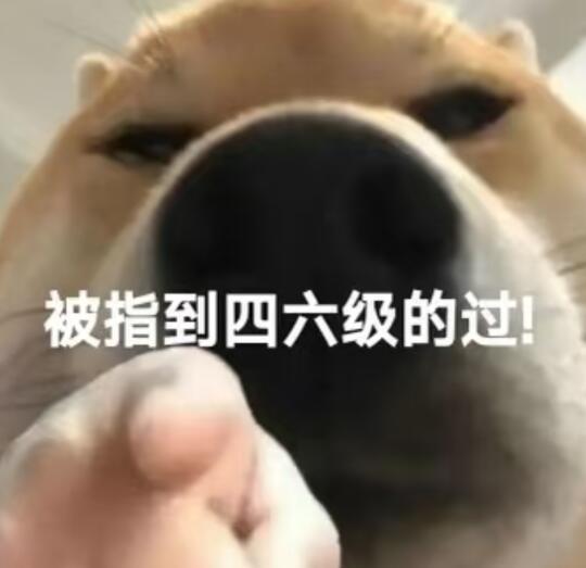 接好运❗四六级成绩公布时间已官宣❗️必过