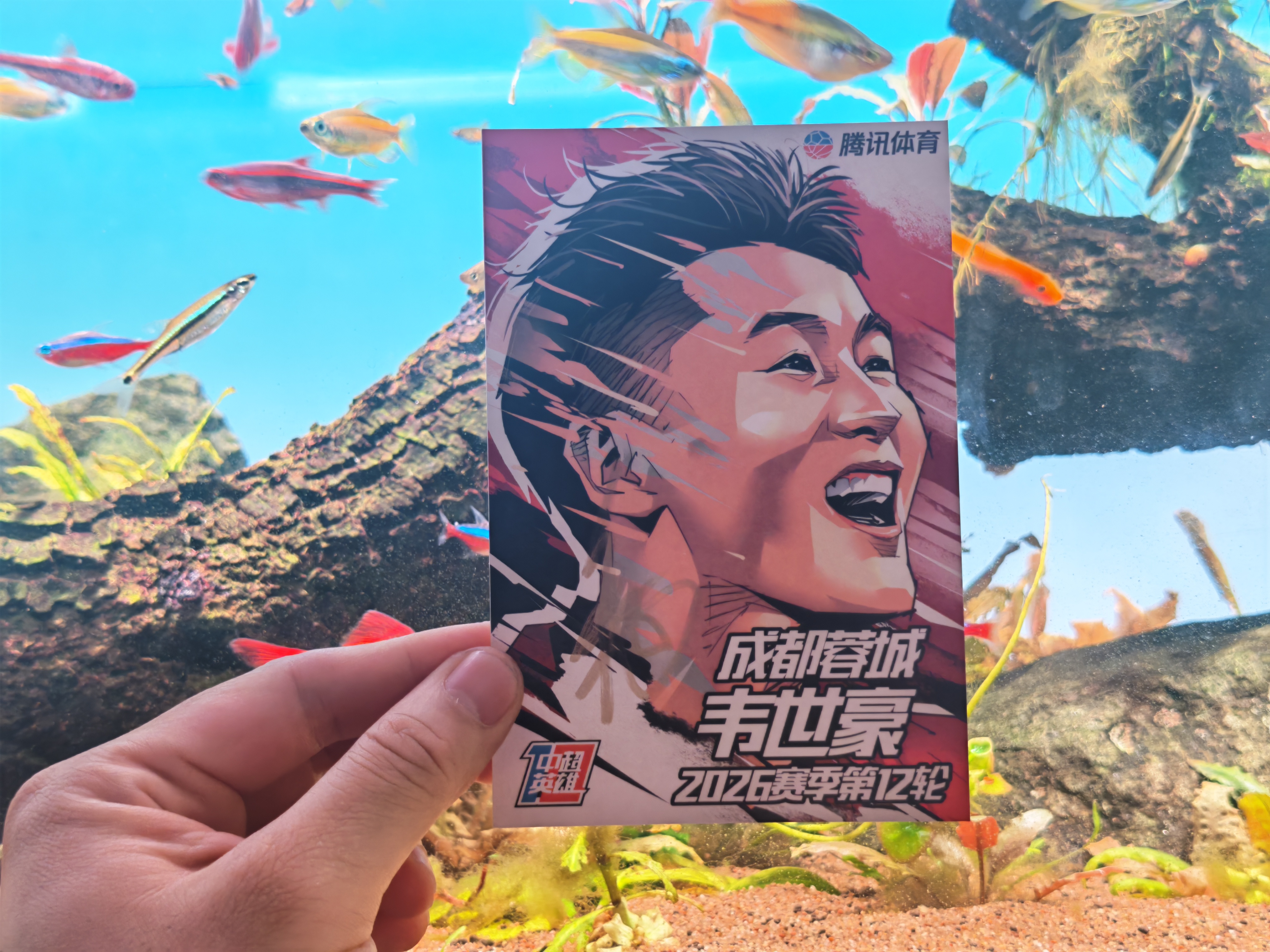 收到了韦世豪的亲笔签名，谢谢和，必须要和鱼缸合影。韦世豪和我有一定缘分，我们生日