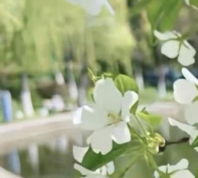 [超话]熊猫守护者 ygxy阳光信用 每日一善 
帮助弱势群体不需要多么宏大的行