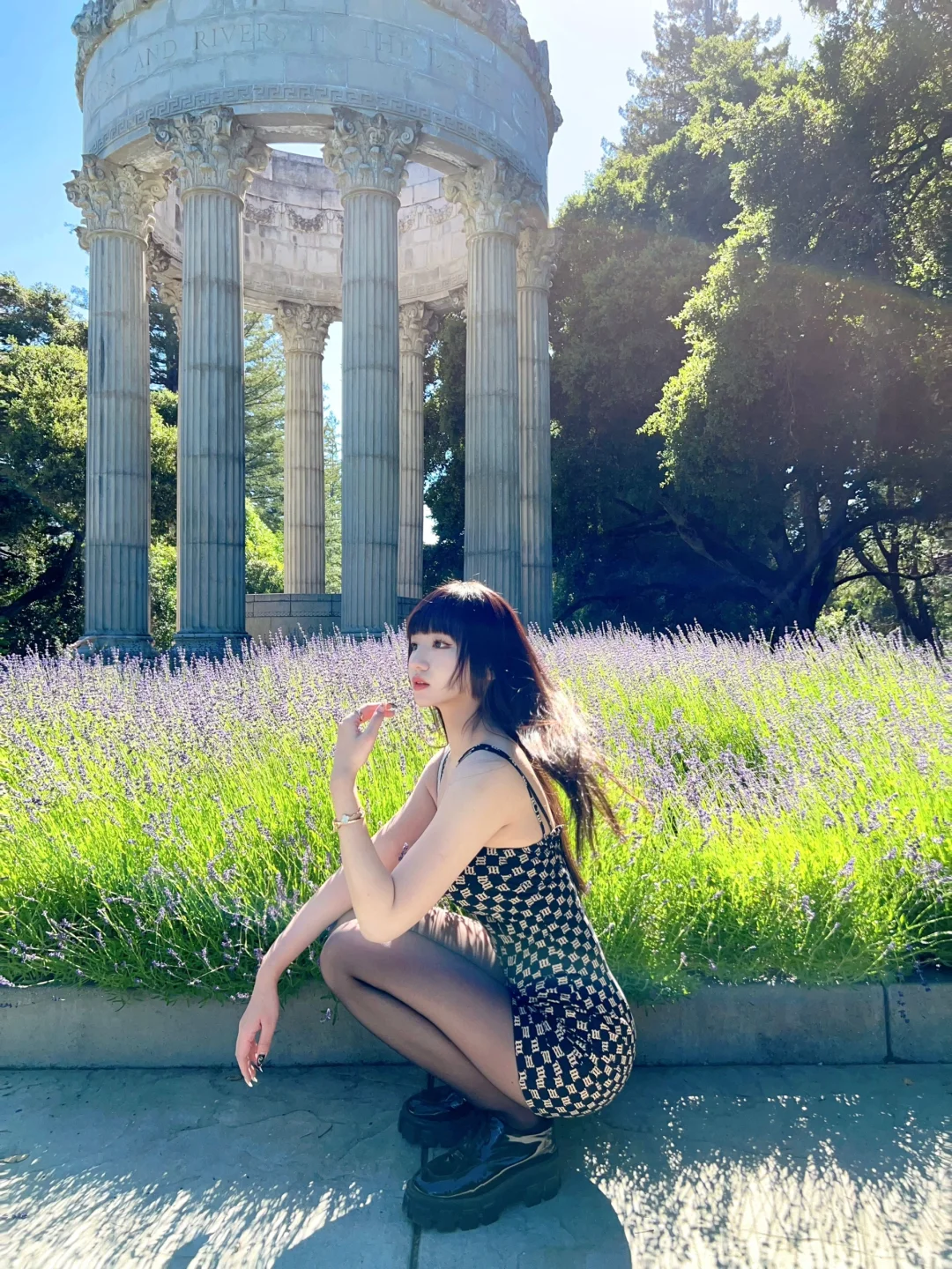 🪻今天的风是薰衣草香|湾区水神庙🏛️