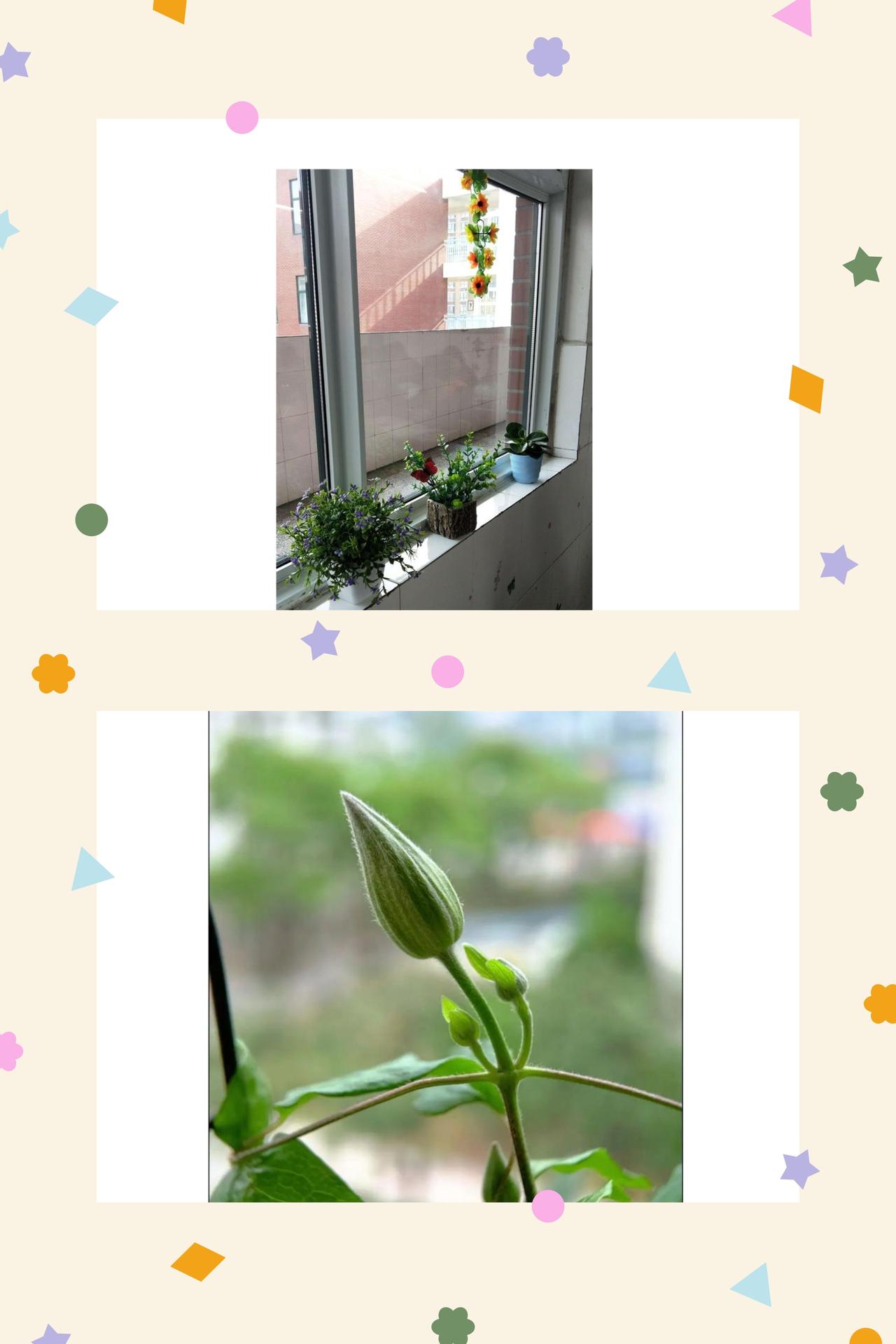 时光不语，静待花开
岁月温柔，时光不语，人间所有美好，都值得安静静待花开。
行走