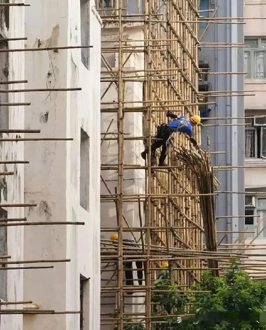 原来香港一直用竹制脚手架，不是落后也不是用不起钢筋！核心是香港有个竹子协会在推动
