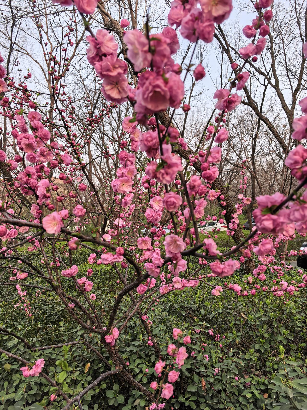 晒图笔记大赛上涨趋势、下降趋势、盘整趋势。最难判断的是趋势转折点。