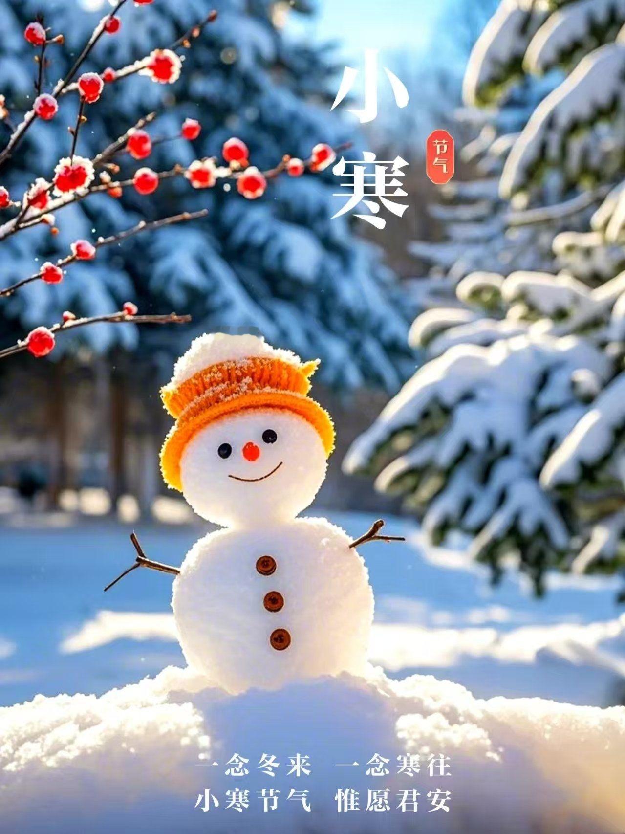 小寒养藏之道的核心，是顺天时闭藏阳气、固护肾精，让身体能量内收不耗散，为来年春天