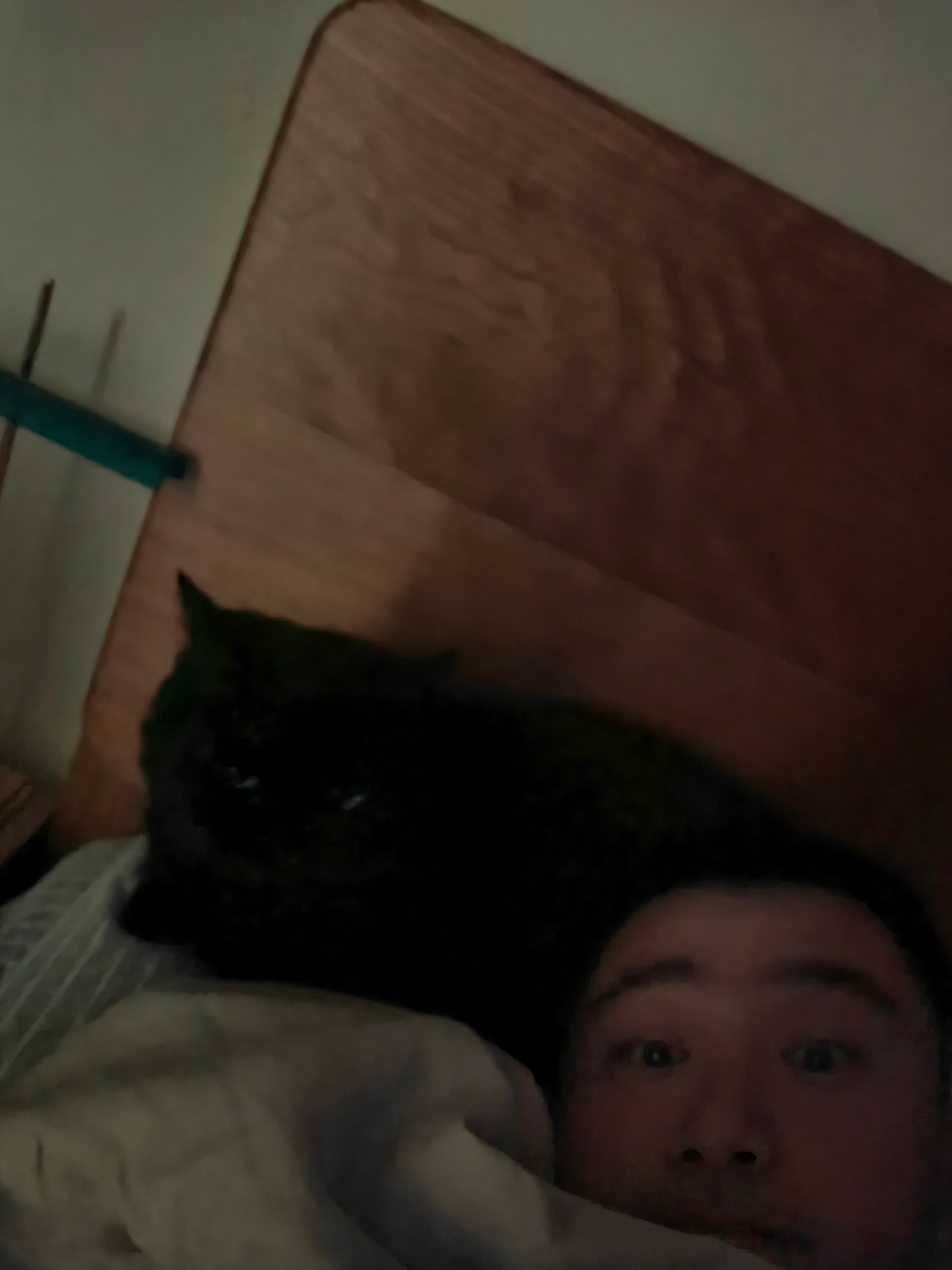 回家的第一夜床好挤 