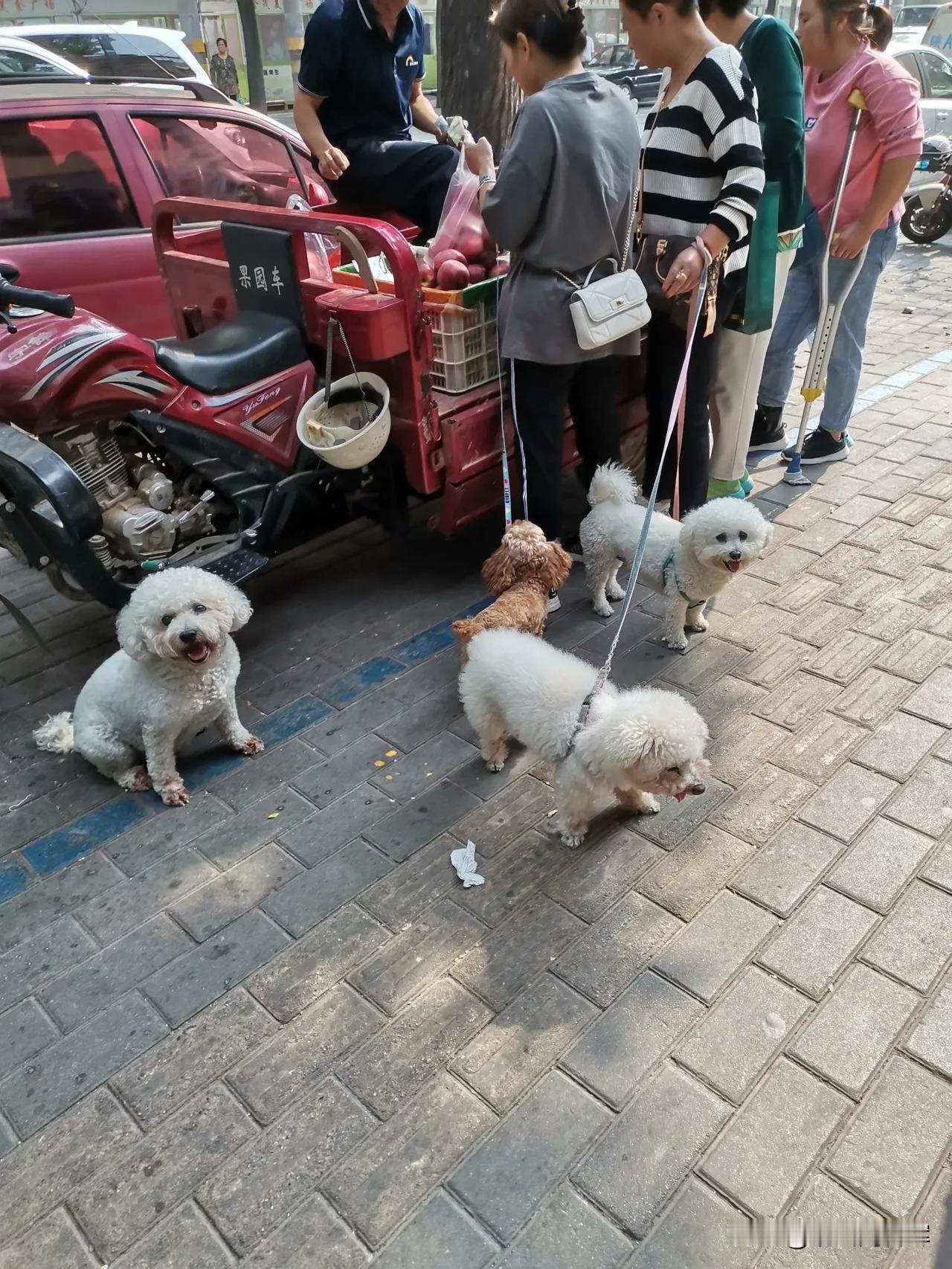 早市