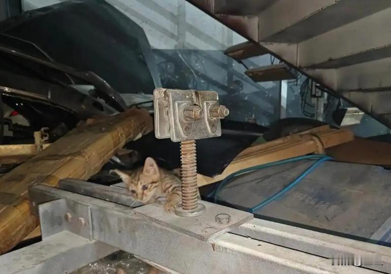 真的是越温柔越有力量，哪怕只是街头一次不经意的停顿，也能瞬间击中人心里最柔软的地