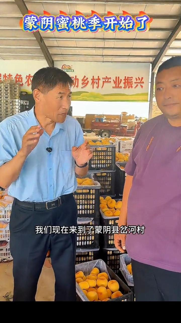 蒙阴优质蜜桃已启动市场，50万蒙阴桃农向全国蜜桃市场提供优质、放心的各种产品，线