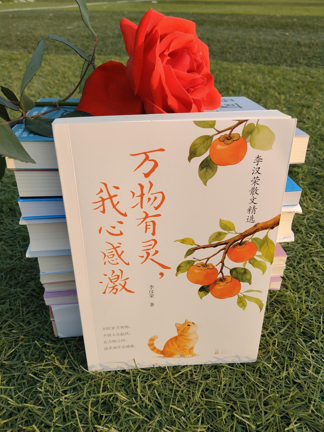 总是身心俱疲，可能是灵气流失。

补灵气，有几个既不花钱又好用的的方法，它们藏在