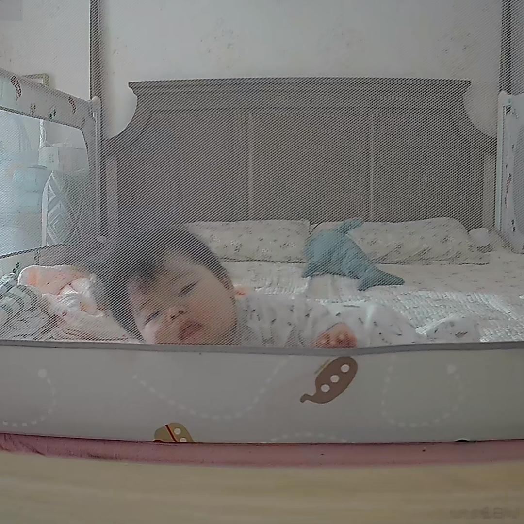 #糖妞家的日常[超话]##糖妞家的小多多# 哈哈哈哈哈哈哈哈[喵喵][喵喵][喵