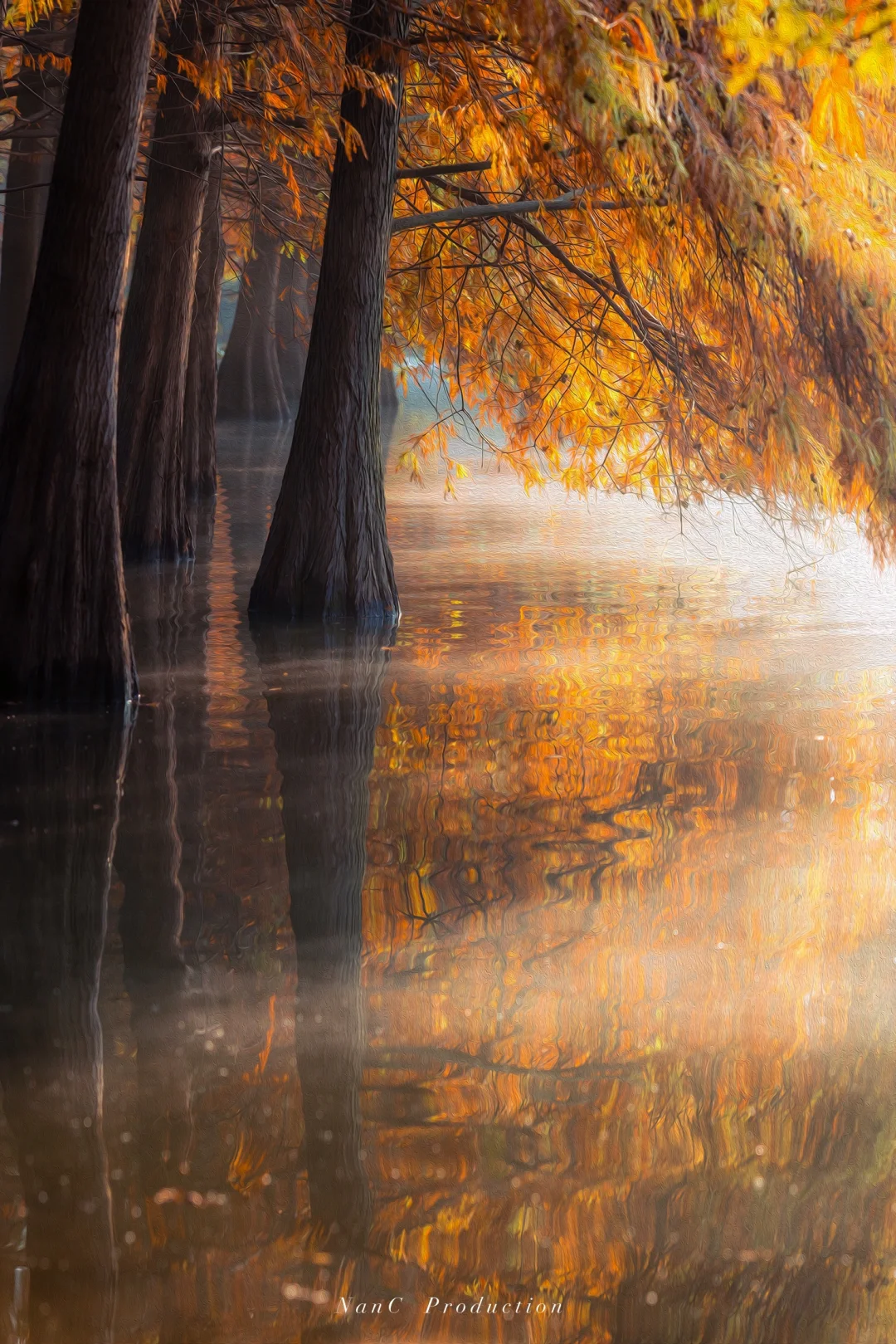 南京的秋天🍂像是走进了油画里