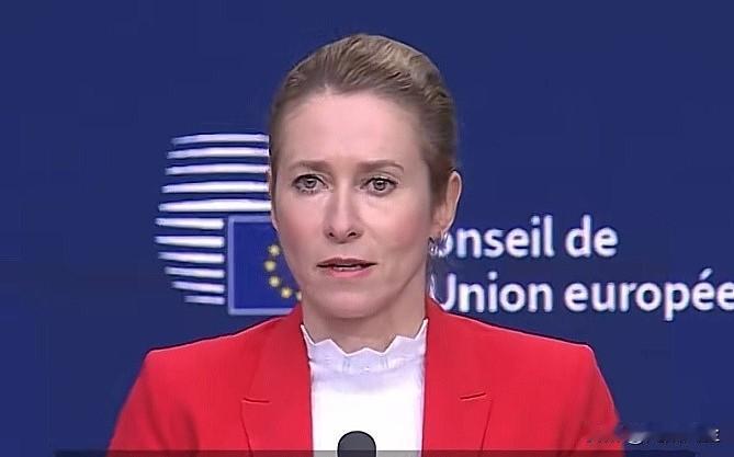 :“我们仍需将局面从俄罗斯假装谈判的状态，转变为俄罗斯不得不谈判的状况，俄罗斯无