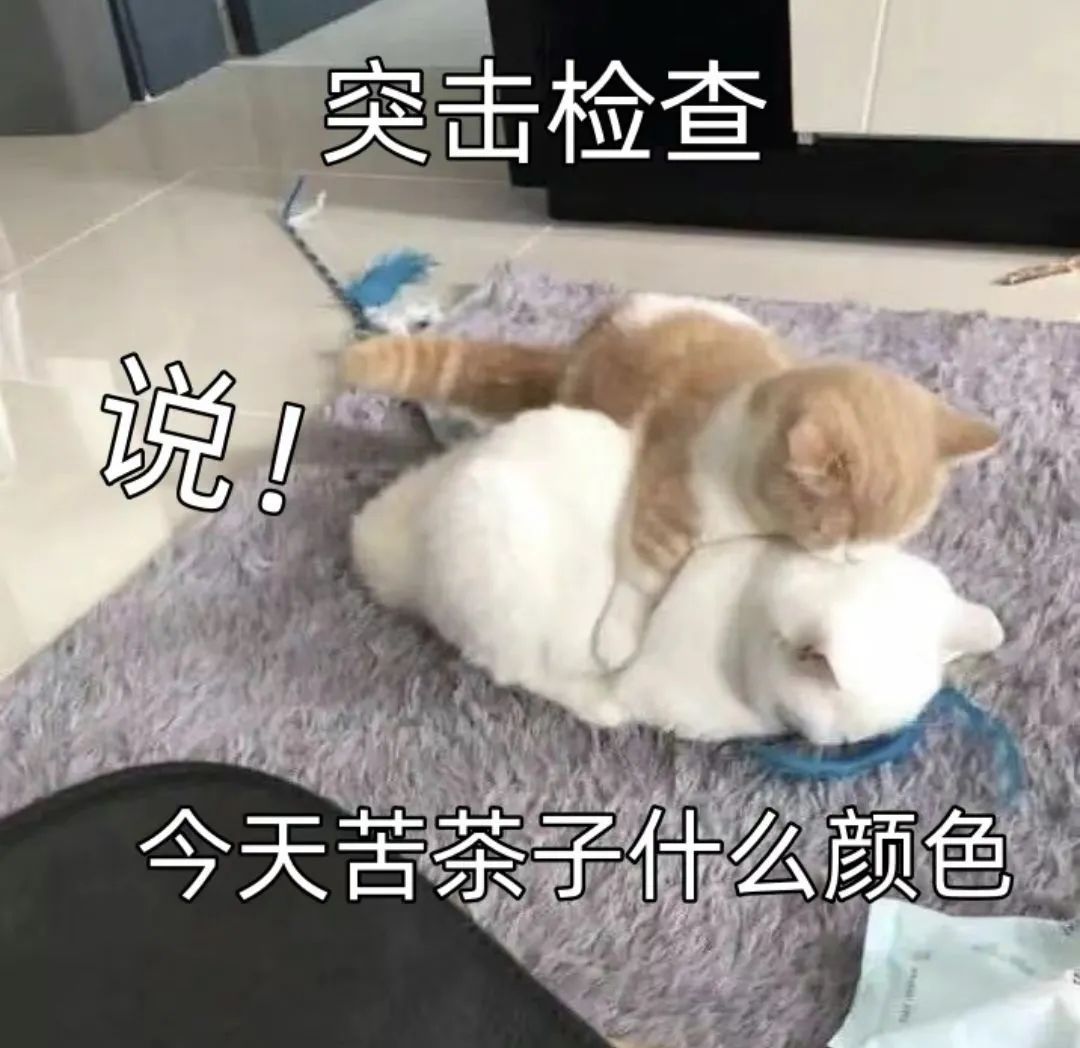 微信热门表情包：哥哥别采花 采我 更新不易，拿图点赞[心]更多表情包请看主页[心