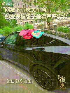 “没想到上人民日报了！”辽宁沈阳，一小伙停好车后就回家了，结果一场雨后才想起自己