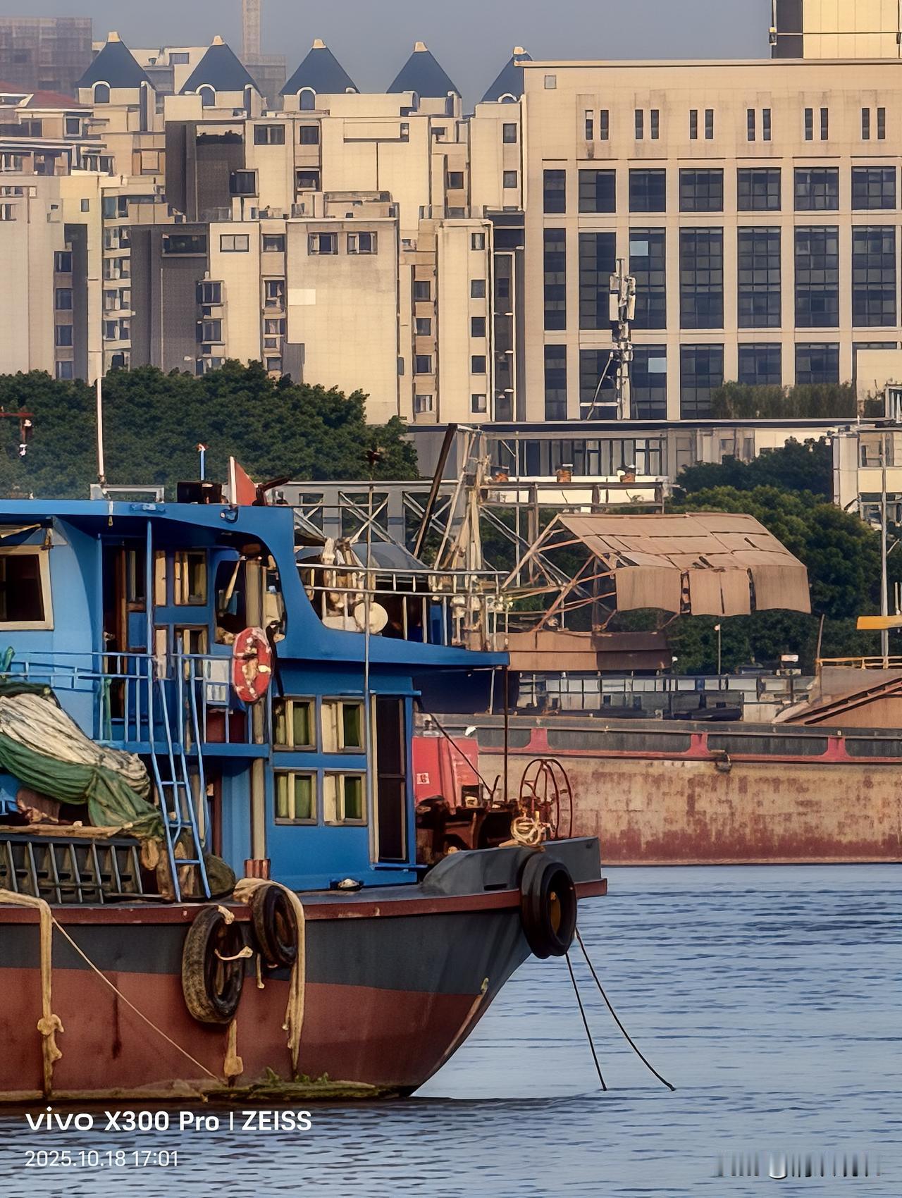 明天就要带着到手没几天的VIVO 300X PRO飞新疆看胡杨林了，没料到兴奋变