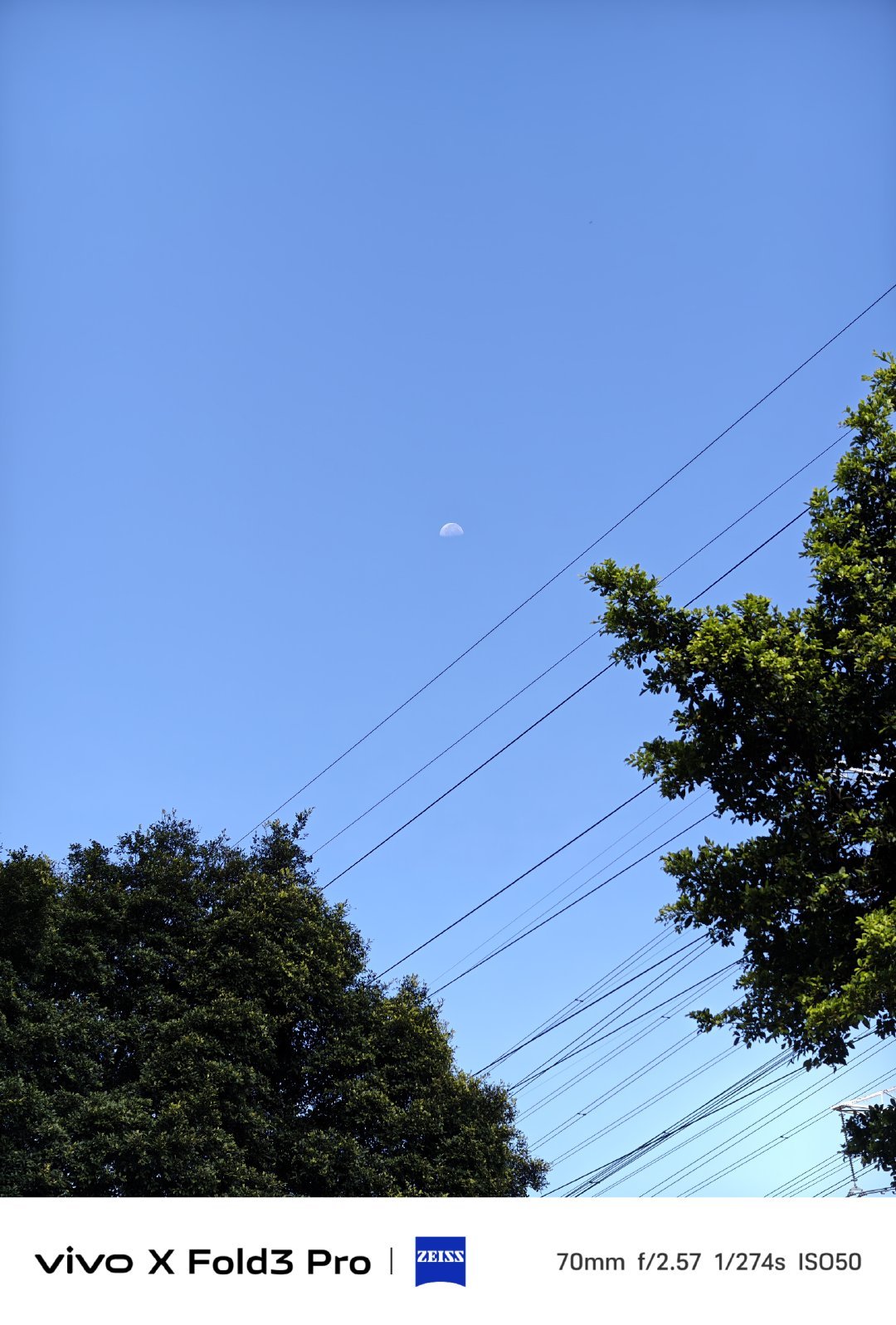 一大早九点多的时候居然还能看到月亮，我是第一次看到，别人都说是正常的，看来我是大