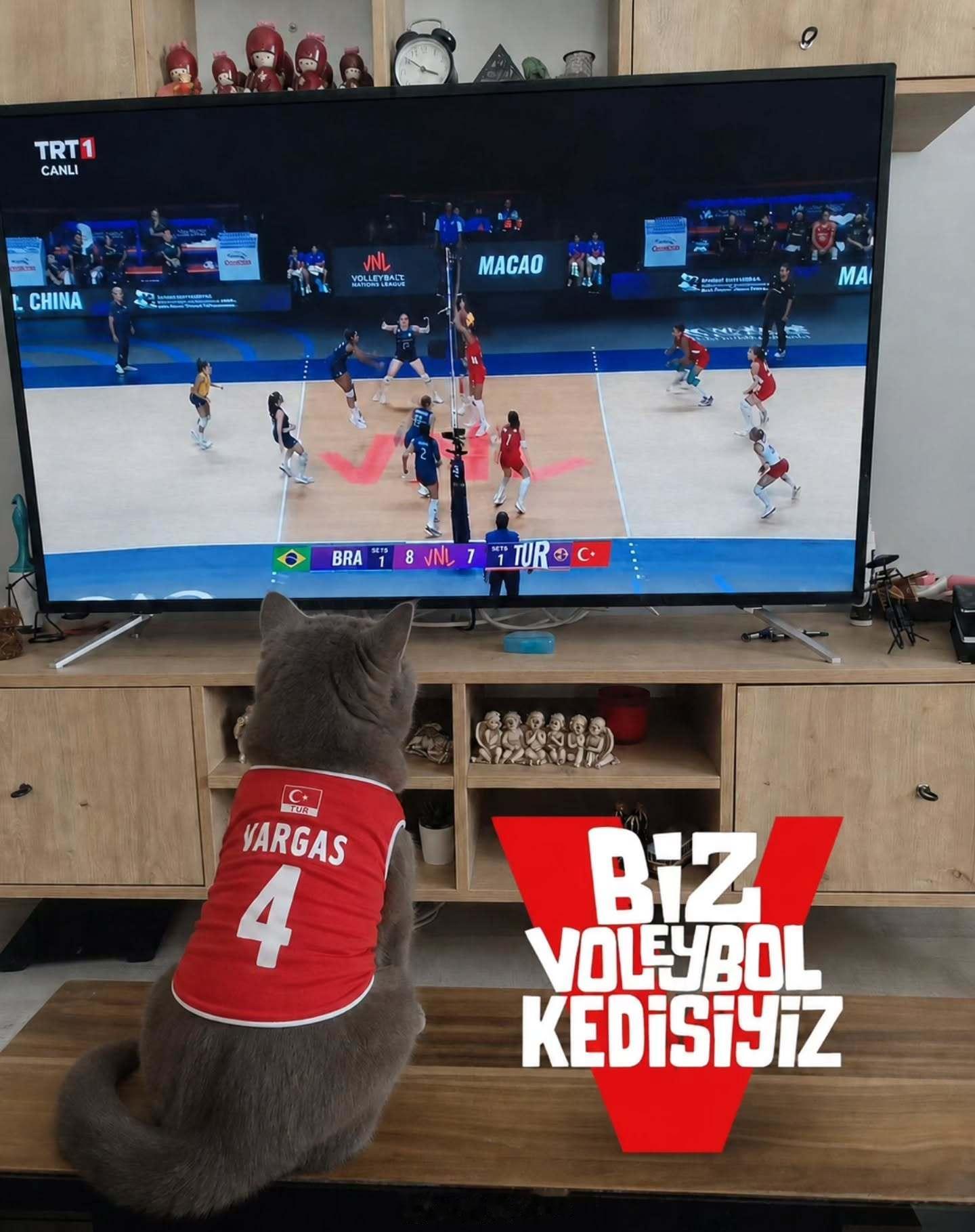 女排 🇹🇷 专注观看土耳其-巴西决赛的、穿着瓦尔加斯球衣的猫🐱2026年世