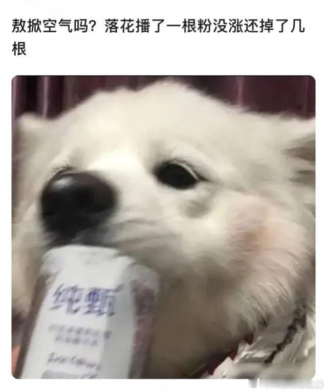 嗷嗷很惨，播了个🌹剧，不但没涨粉，还掉粉粉，还不如去看白月呢[酷] ​​​