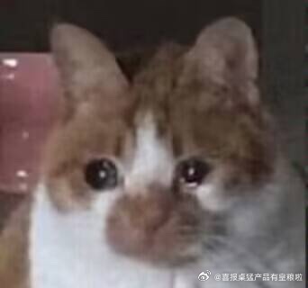 决赛实属王牌对王牌了（。 
