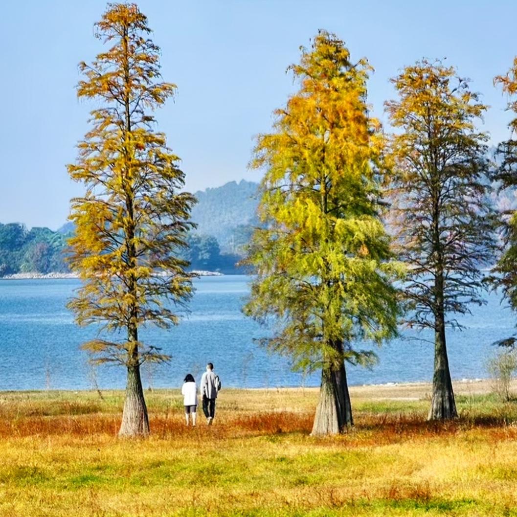 人这辈子
若能逃过天灾
躲过人祸
不遇恶人
不染大病
就已经是天大的幸运

要是