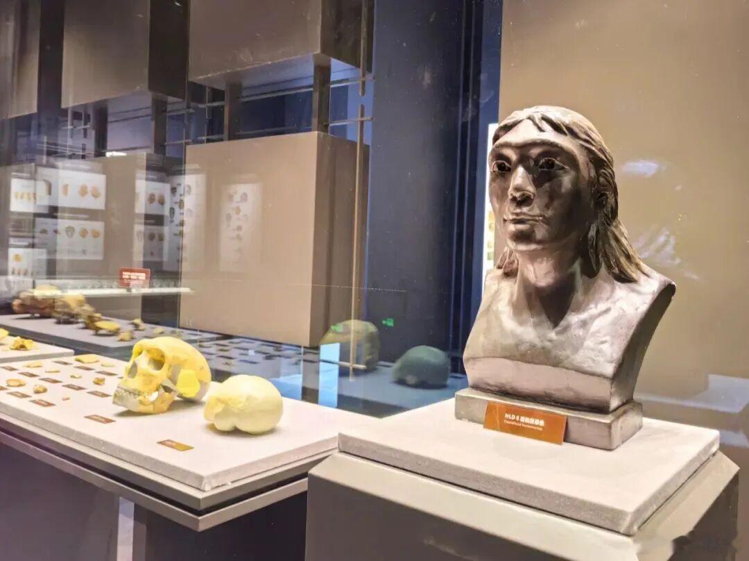 考古新发现华龙洞遗址考古取得新突破 近期，安徽省池州市东至县华龙洞遗址最新发掘清