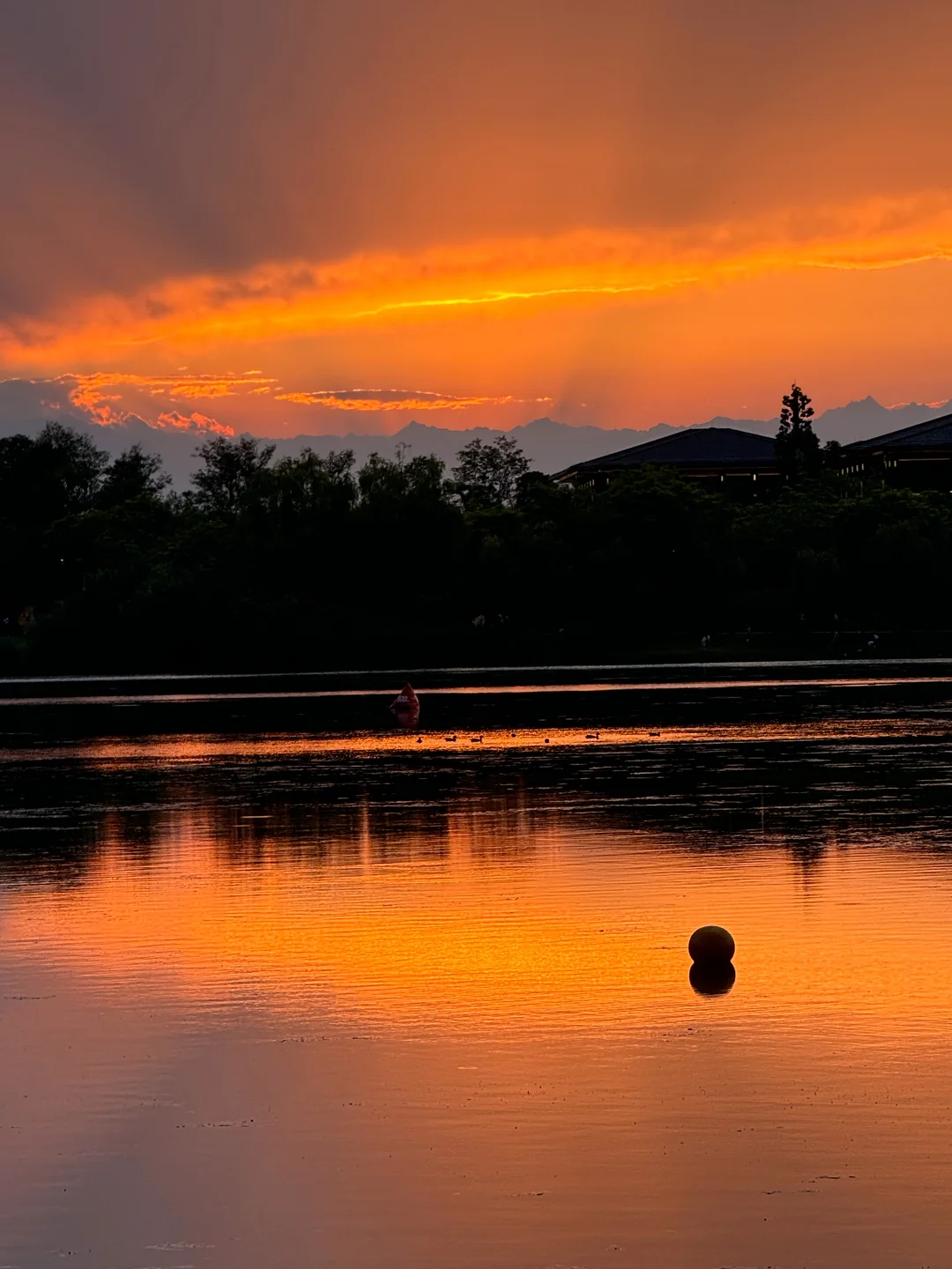 成都好浪漫！今天的世纪晚霞太好看啦！