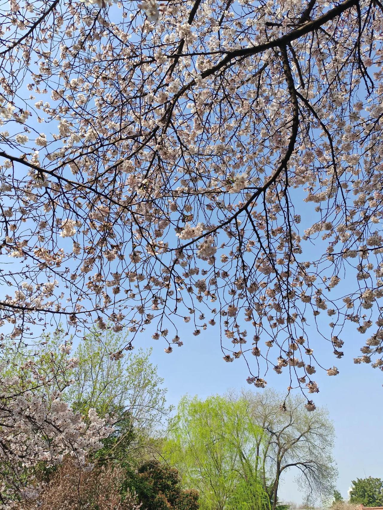 图文热点来了 我的随手拍 治愈系风景 图文热点来了最美的风景在路上