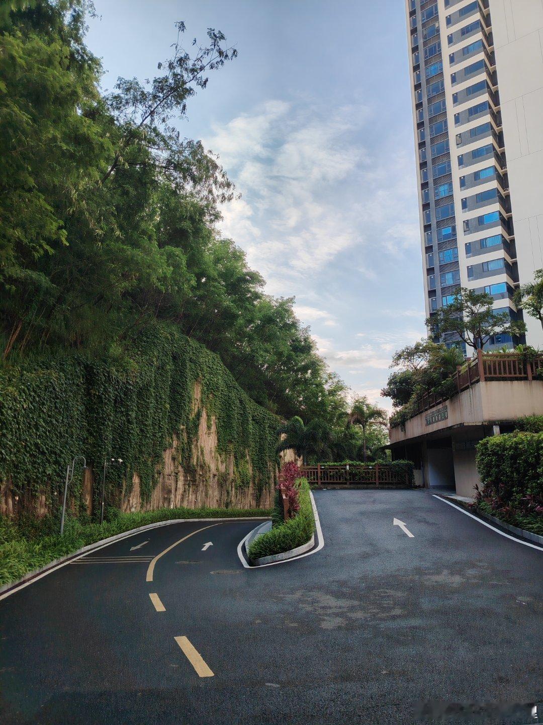 晨曦中的维港湾给碧桂园的物业点个赞园林绿化养护确实是五星级的家 惠州·碧桂园十里