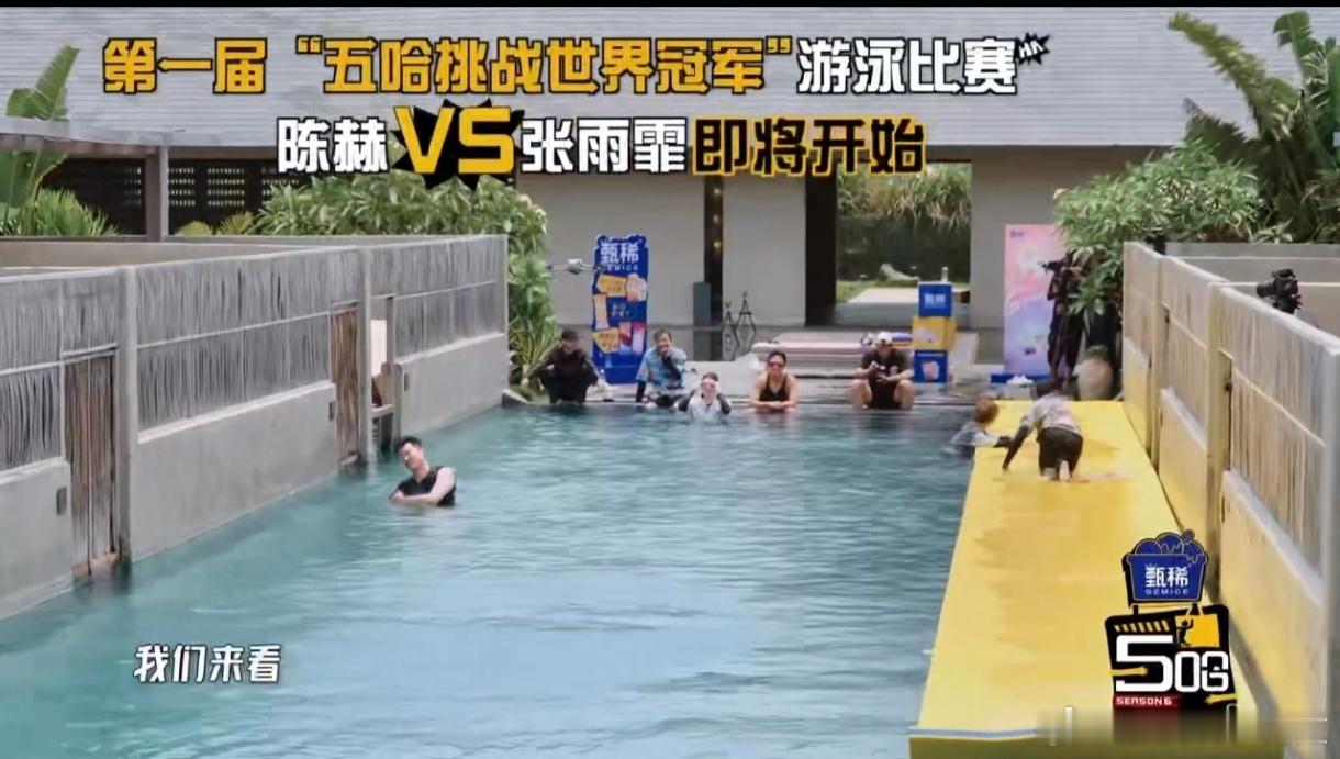 陈赫跟世界冠军比赛游泳哈哈哈哈哈 福建白鲸上线！陈赫挑战游泳冠军张雨霏，全程拼尽