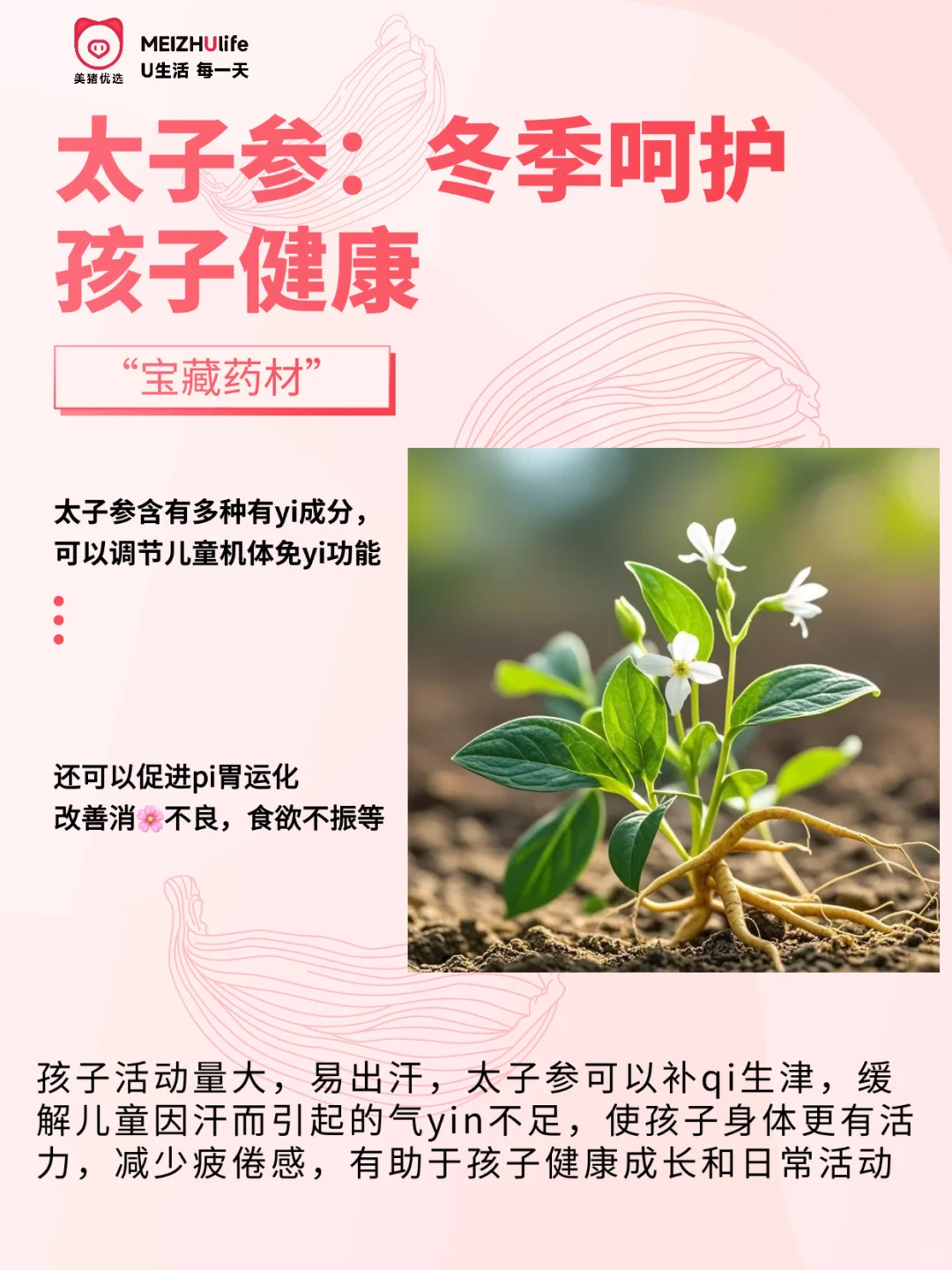 ❄️儿童冬季必备 | 太子参煲汤😋