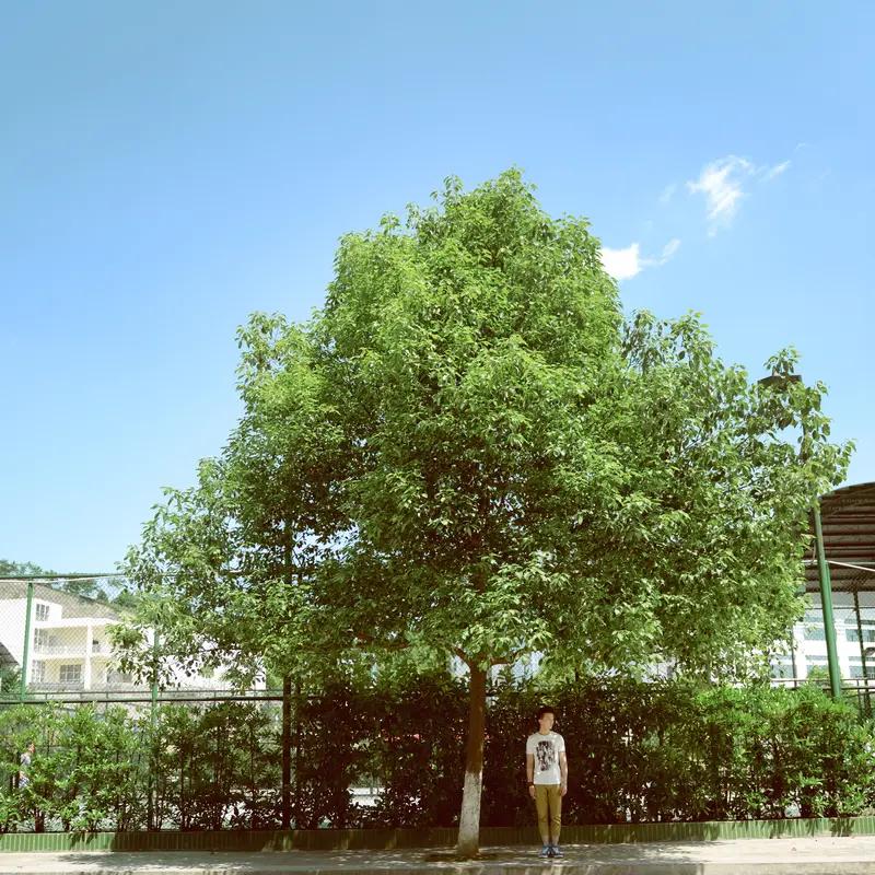 索赔8000万“碰瓷”宇树失败，被批“精心算计”的幕后推手是谁？
近期，宇树科技