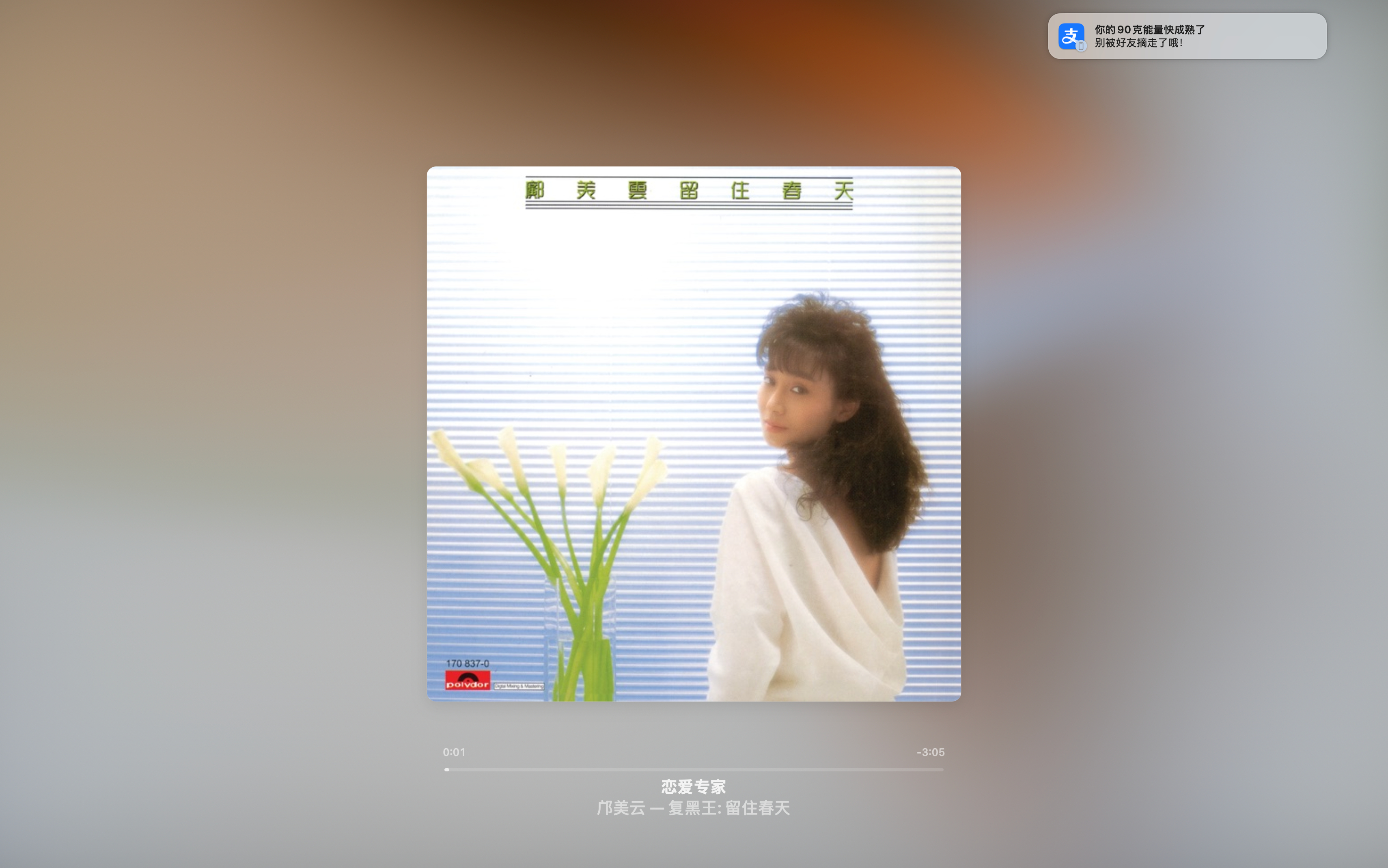 我最近一直在循环《恋爱专家》这首歌，不知道为啥，越来越喜欢以前的粤语歌了哈哈哈这