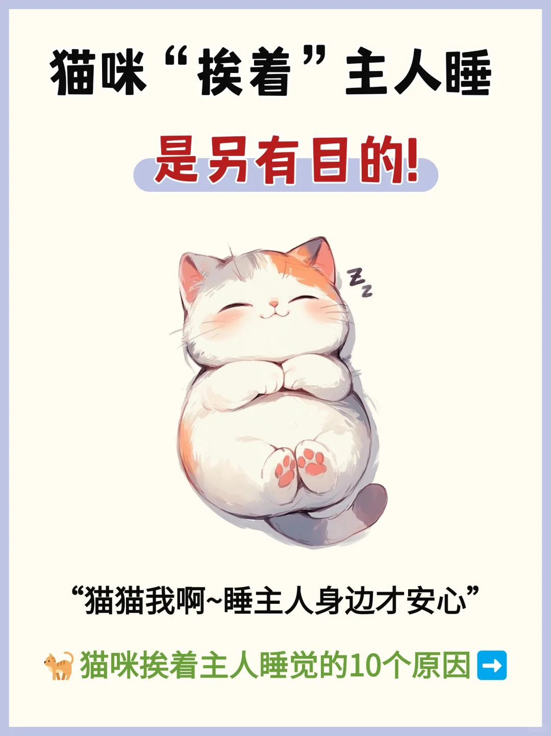 猫咪挨着主人睡觉💤竟然是这10个原因❗️